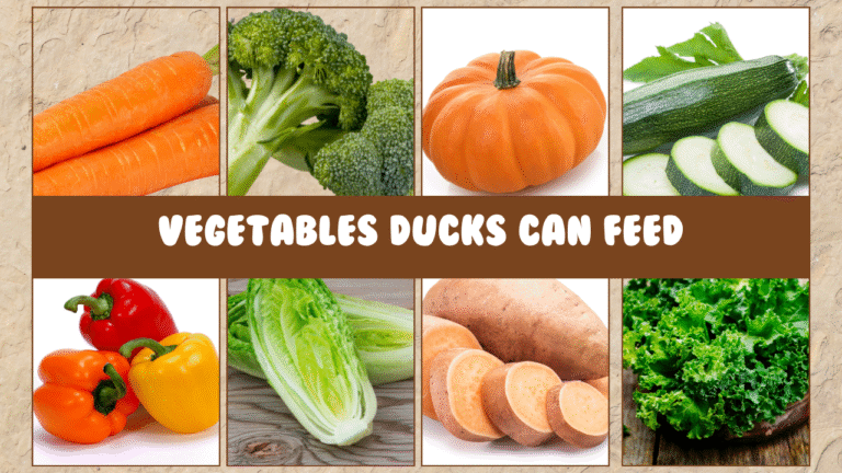 Do Ducks Eat Vegetables: What They Can and Can't Eat - ducks-food.com