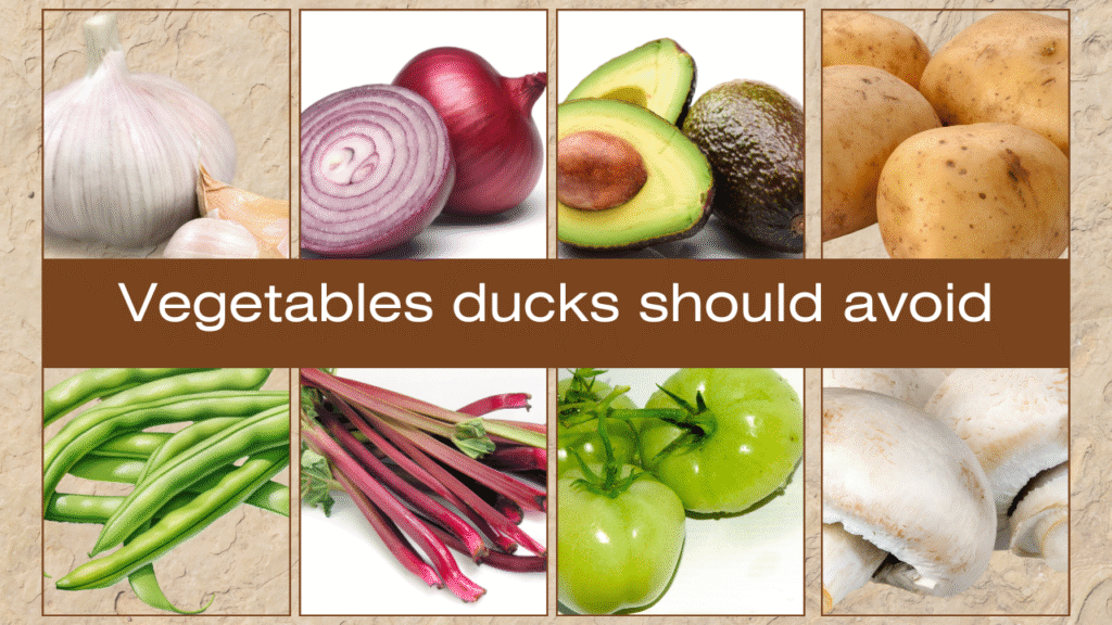 Vegetables ducks should avoid